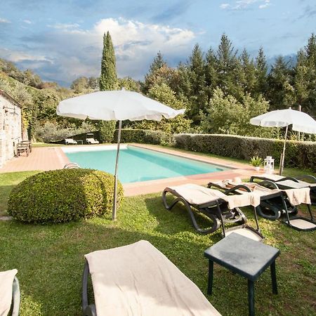 Casetta Di Butia, Ginestra Apartment With Swimming Pool Borgo a Mozzano Extérieur photo