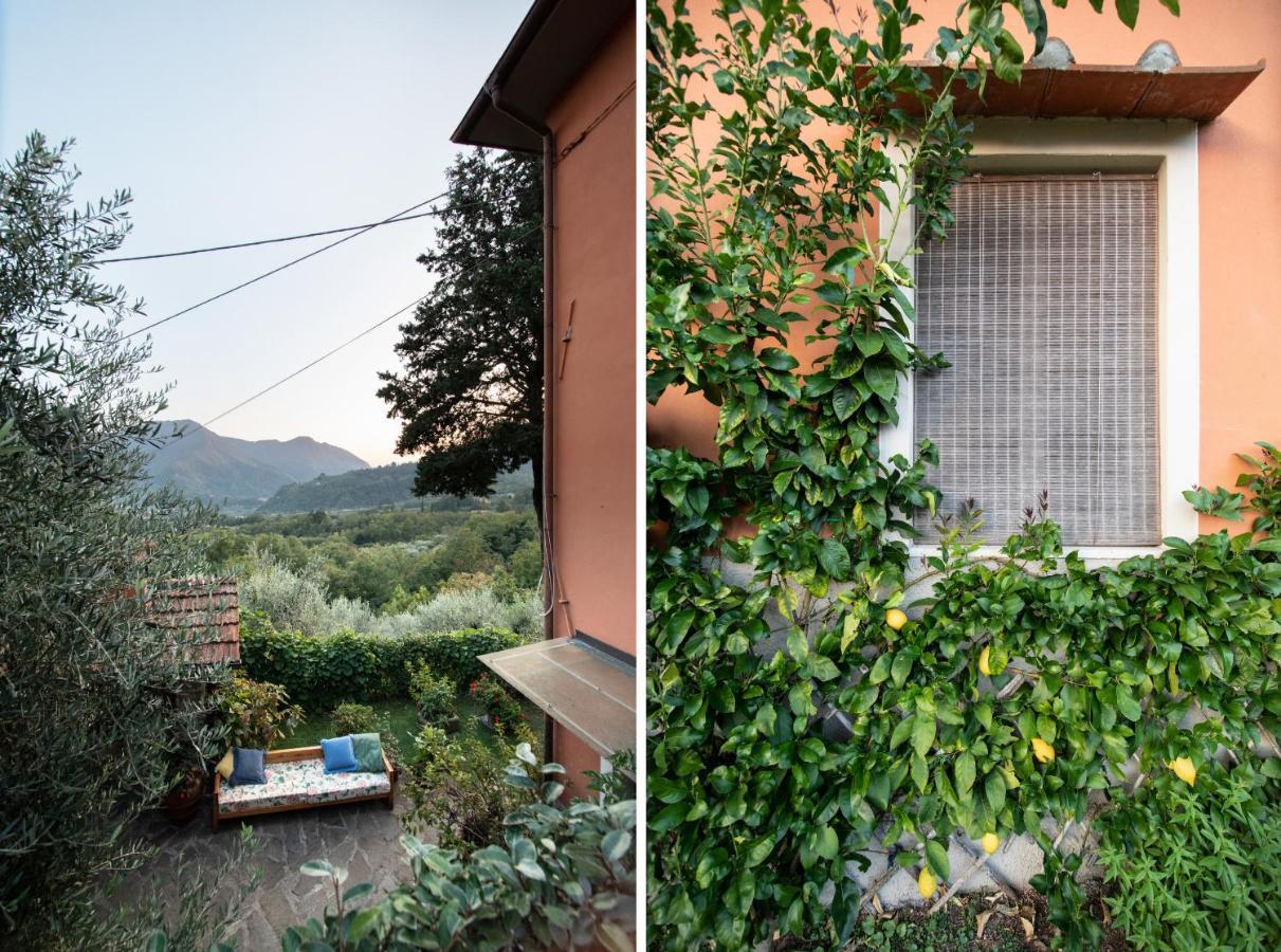 Casetta Di Butia, Ginestra Apartment With Swimming Pool Borgo a Mozzano Extérieur photo