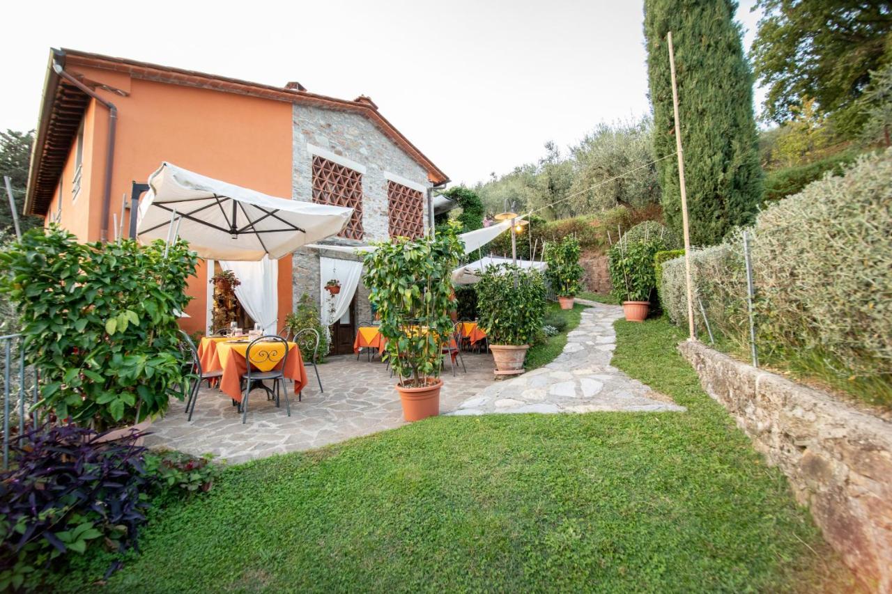 Casetta Di Butia, Ginestra Apartment With Swimming Pool Borgo a Mozzano Extérieur photo