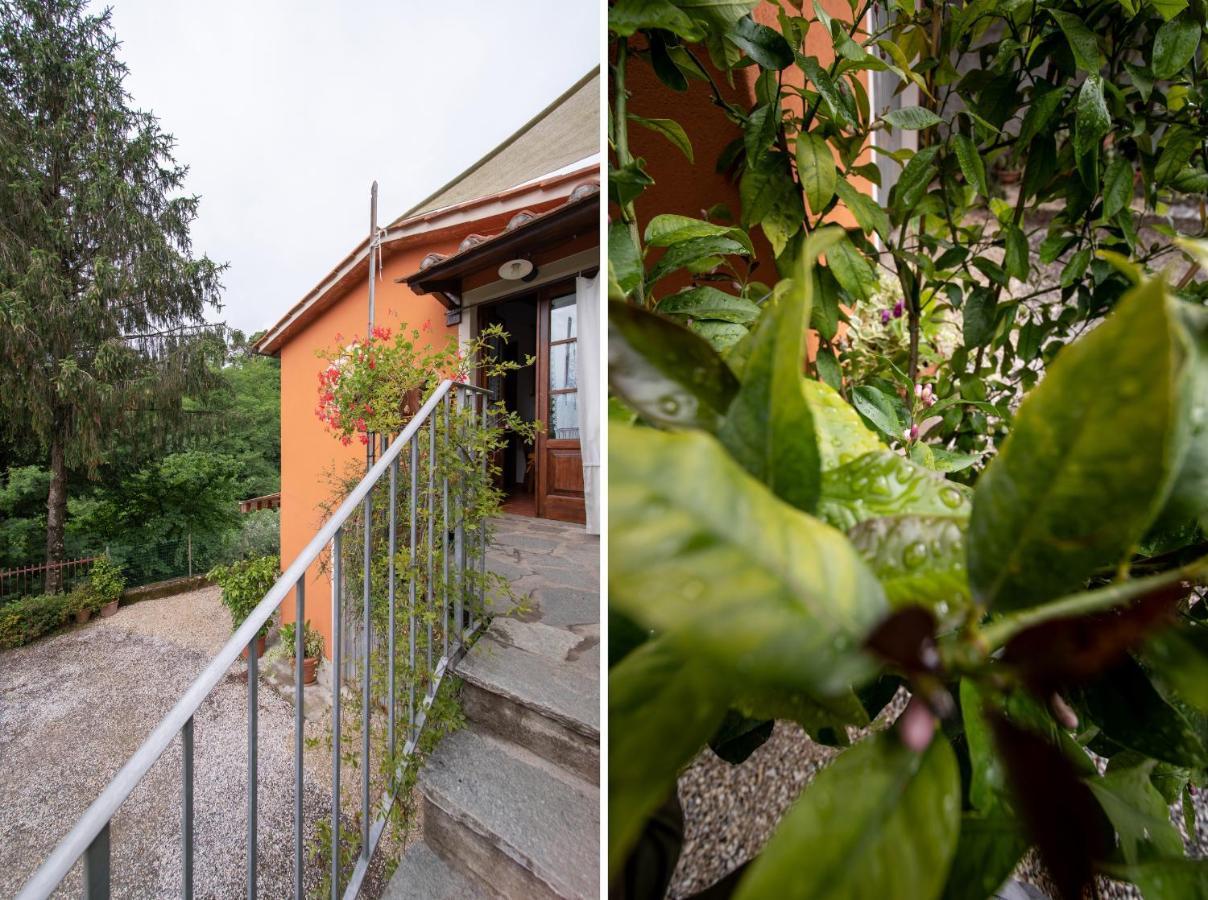 Casetta Di Butia, Ginestra Apartment With Swimming Pool Borgo a Mozzano Extérieur photo