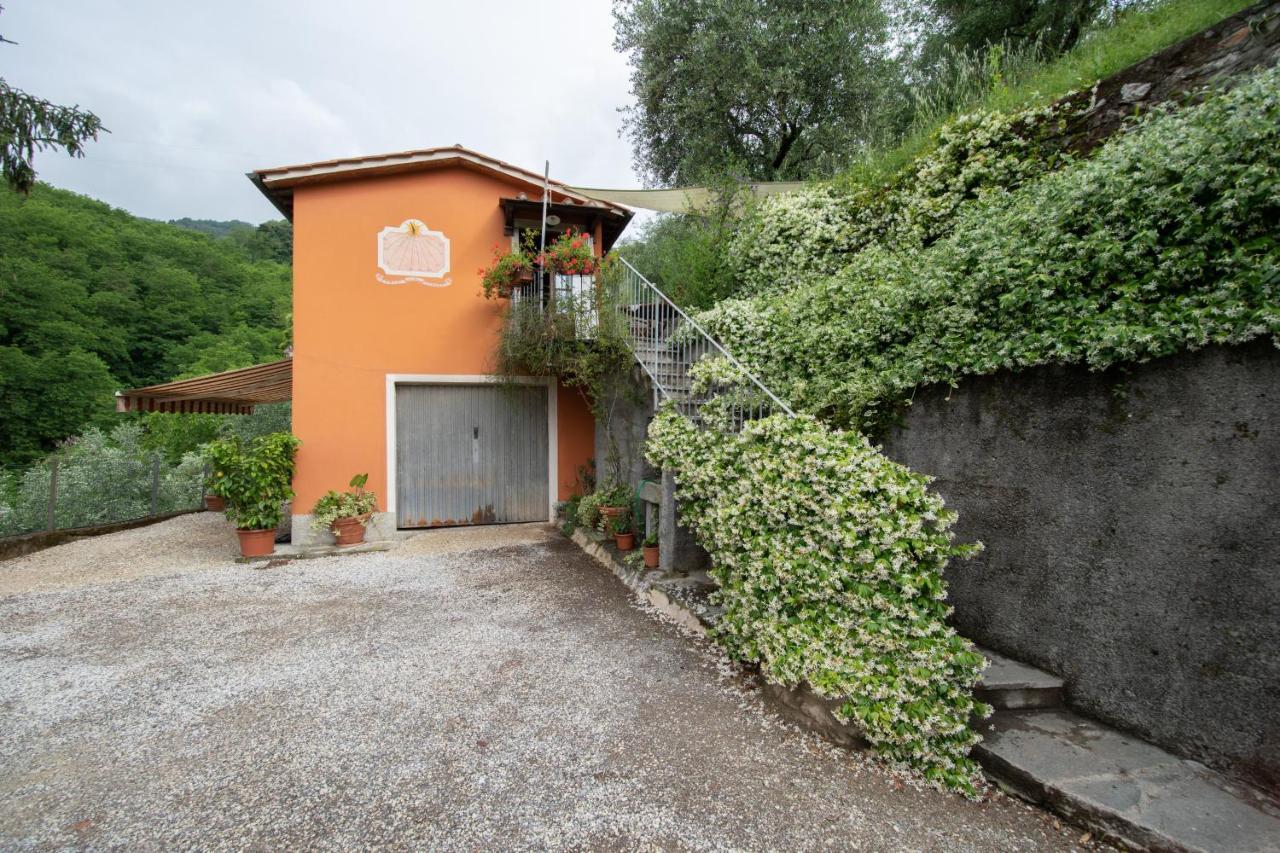 Casetta Di Butia, Ginestra Apartment With Swimming Pool Borgo a Mozzano Extérieur photo