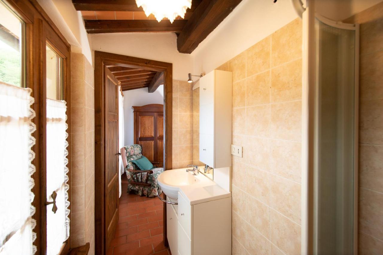 Casetta Di Butia, Ginestra Apartment With Swimming Pool Borgo a Mozzano Extérieur photo